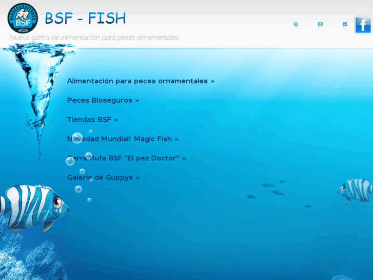 www.bsf-fish.com