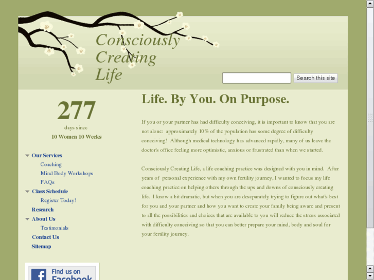 www.consciously-creating-life.com