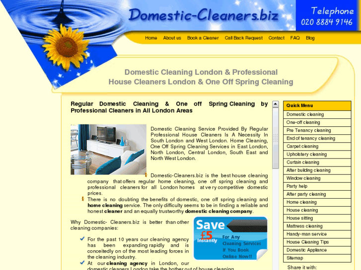 www.domestic-cleaners.biz