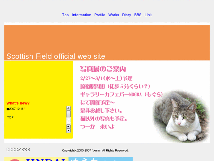 www.fneko.com