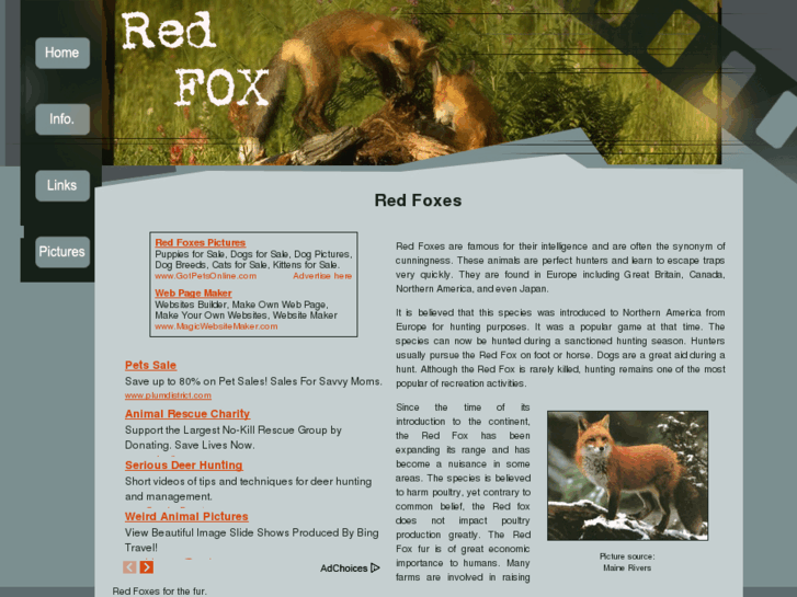 www.red-fox-red-fox.com