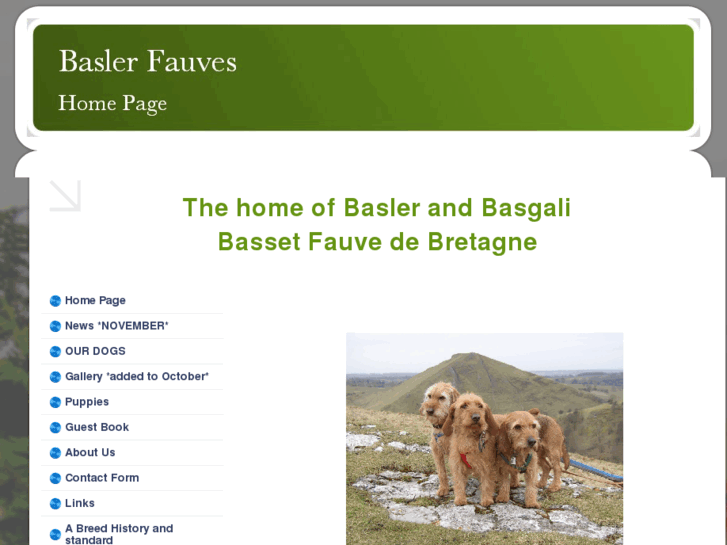 www.baslerfauves.co.uk
