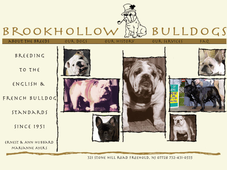 www.brookhollowbulldogs.com