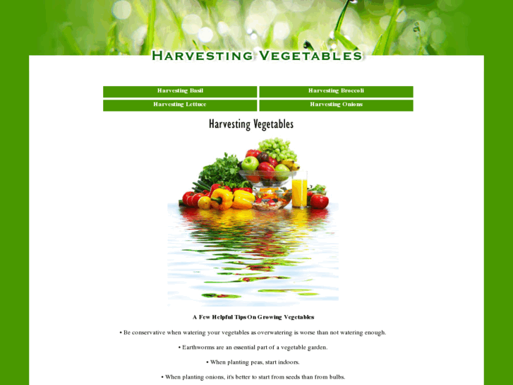 www.harvestingvegetables.com