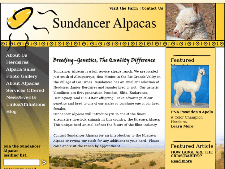 www.sundanceralpacas.com