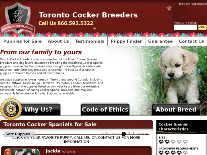 www.torontocockerbreeders.com