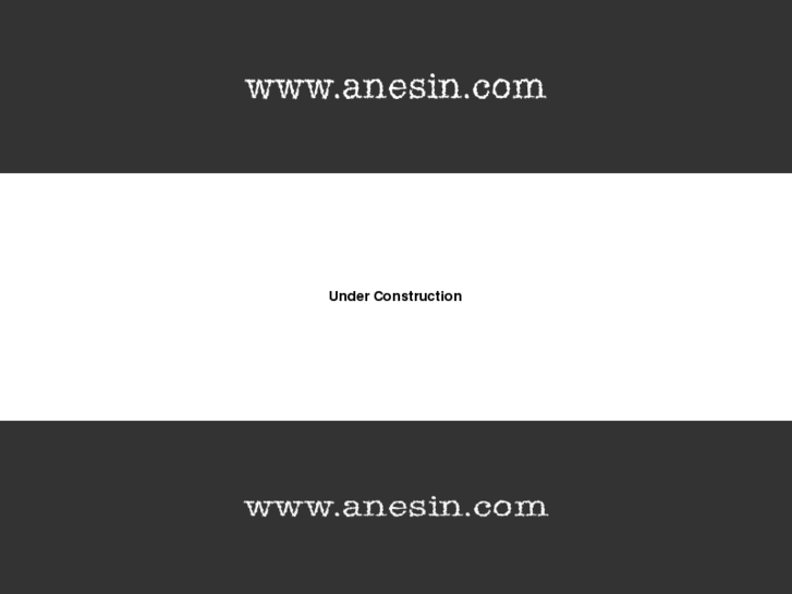 www.anesin.com