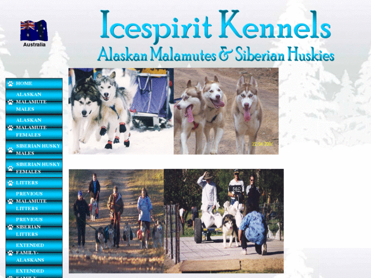 www.icespiritkennels.com