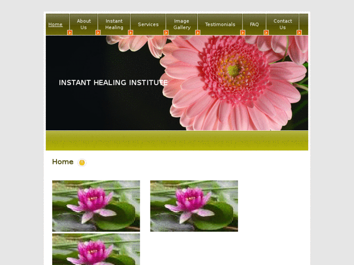 www.instanthealinginstitute.com