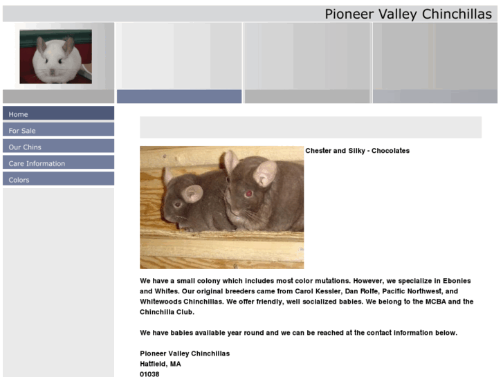 www.pioneervalleychinchillas.com