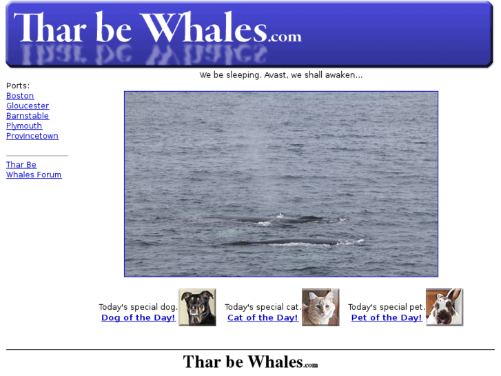 www.tharbewhales.com