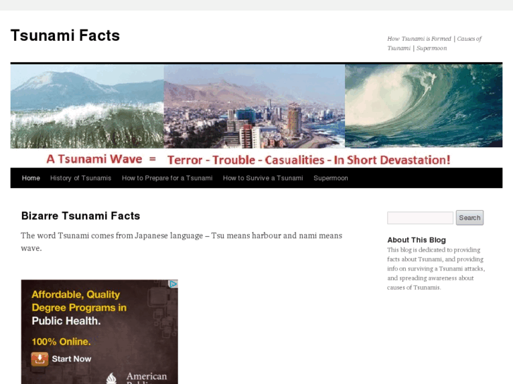 www.tsunami-facts.info