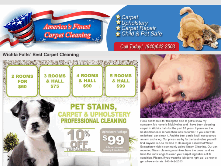 www.americasfinestcarpetcleaning.biz