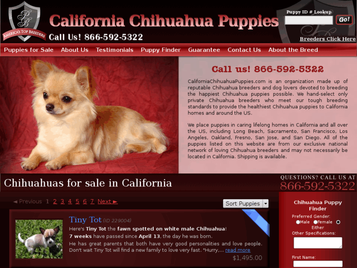 www.californiachihuahuapuppies.com