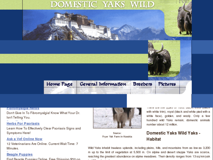 www.domestic-yaks-wild-yaks.com