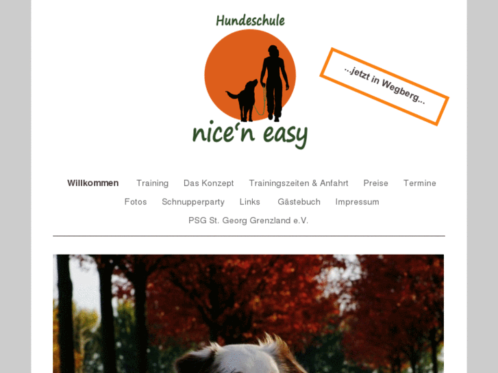 www.nice-n-easy.info