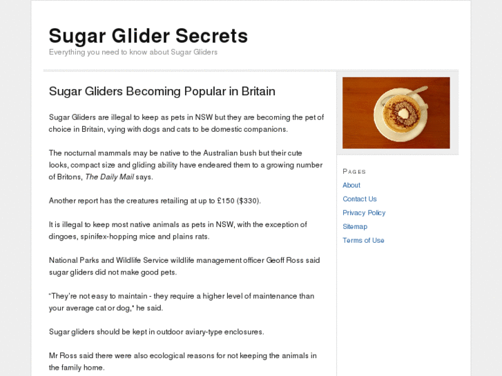 www.sugar-glider-secrets.com