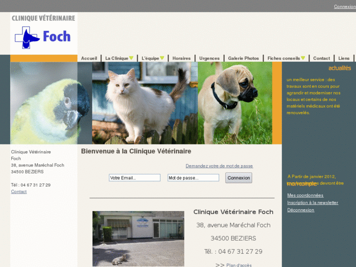 www.veterinairefoch.com