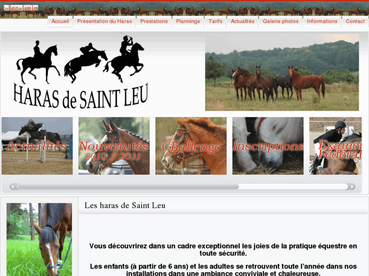 www.haras-stleu.com