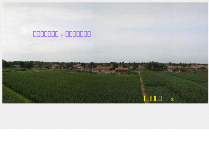 www.liuzhuang.net