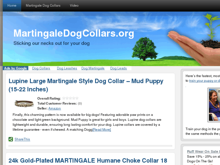 www.martingaledogcollars.org