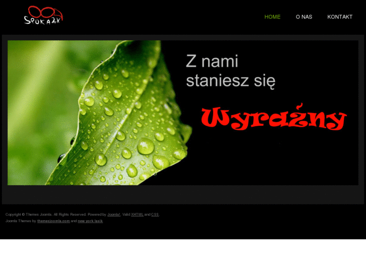 www.sroka24h.pl