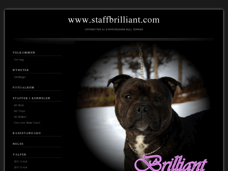 www.staffbrilliant.com