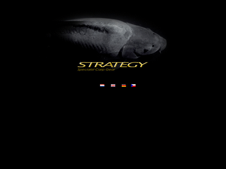 www.strategycarp.eu