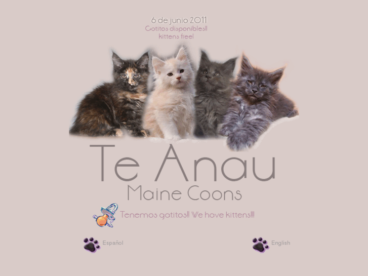 www.teanau.es