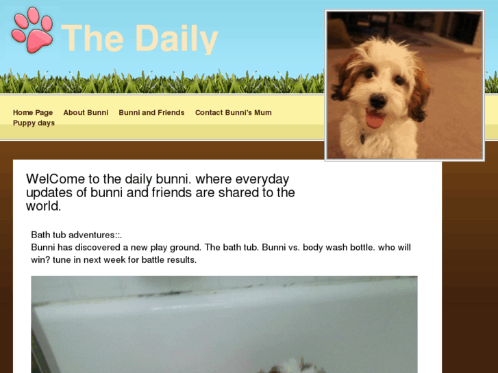 www.thedailybunni.com