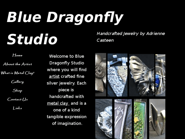 www.bluedragonflystudio.com