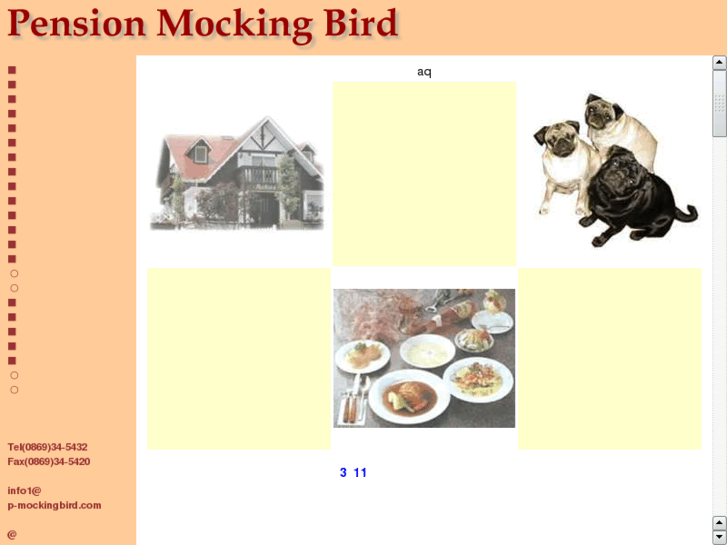 www.p-mockingbird.com