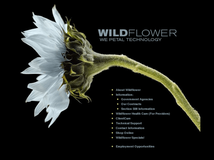 www.wildflowerintl.com