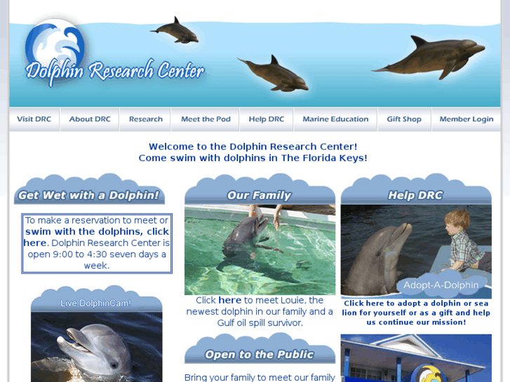 www.dolphins.org