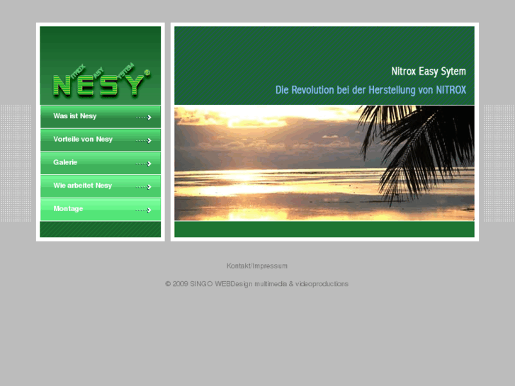 www.nesy.net