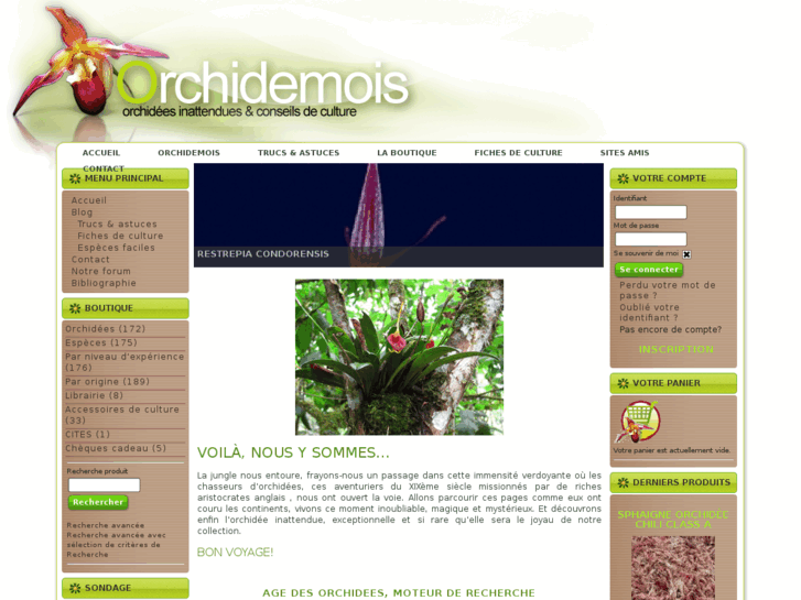 www.orchidemois-boutique.com