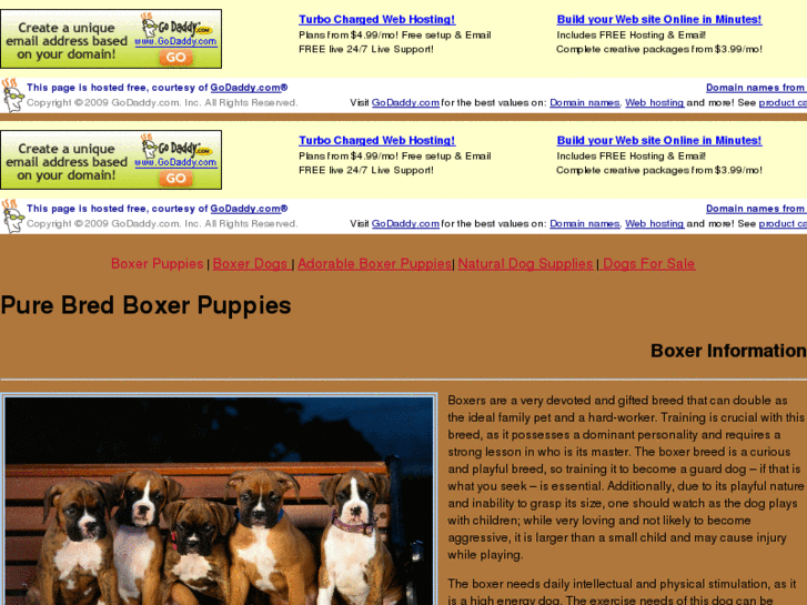 www.purebredboxerpuppies.com