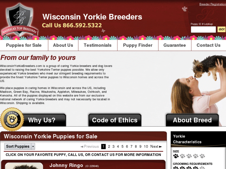 www.wisconsinyorkiebreeders.com