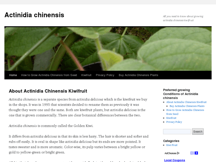 www.actinidiachinensis.com