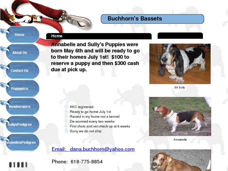 www.buchhornbassets.com