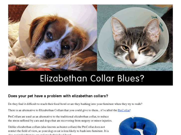 www.elizabethancollars.co.uk