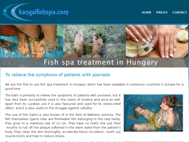 www.kangalfishspa.com