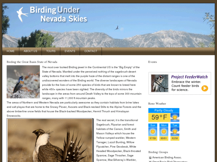 www.birdingnevada.com