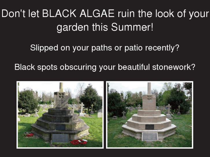 www.blackalgae.net