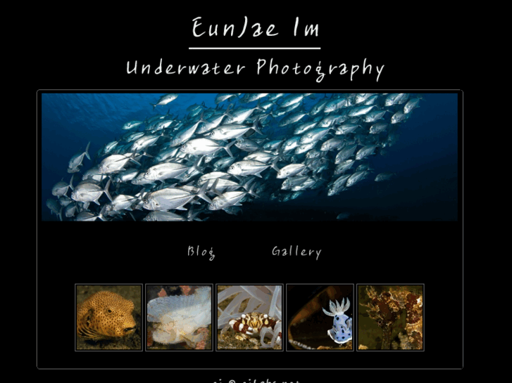 www.ejlabs.net