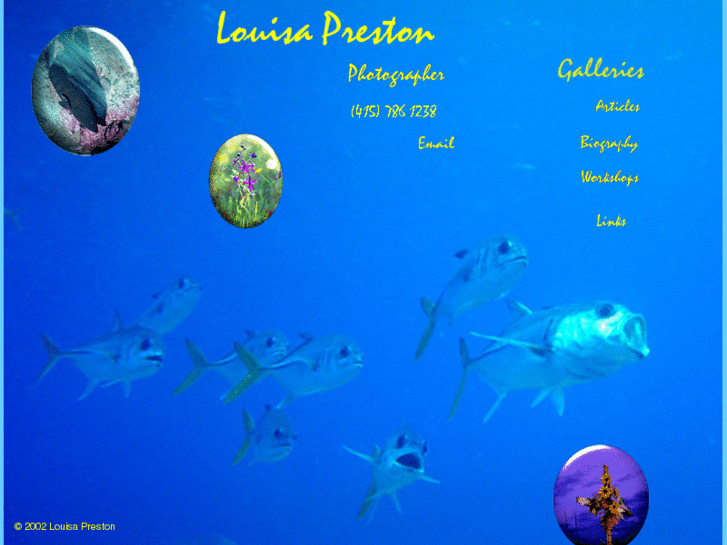 www.louisapreston.com