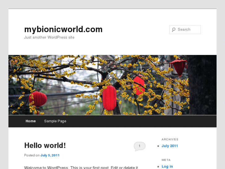 www.mybionicworld.com