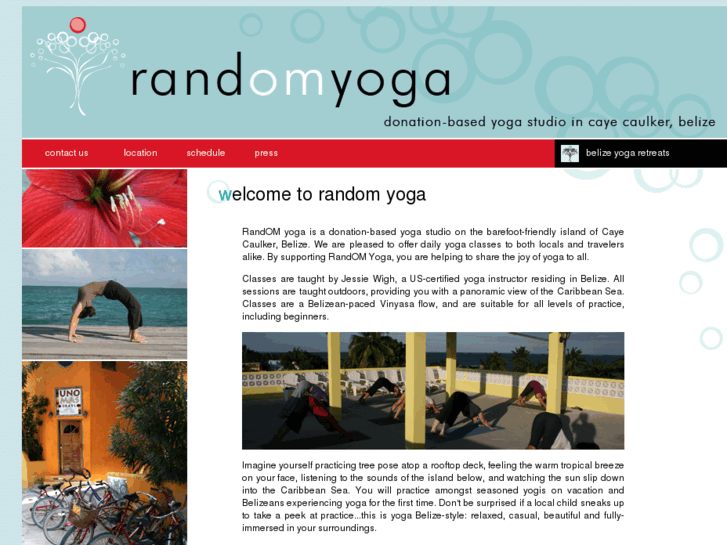 www.randomyoga.com