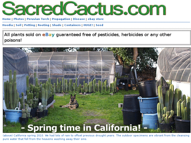 www.sacredcactus.com