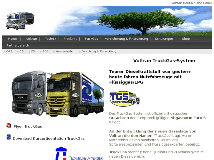 www.truck-gas-systems.com